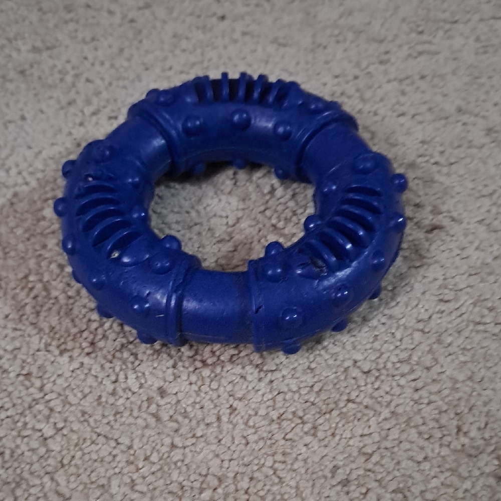 Blue Textured Dog Chew Toy